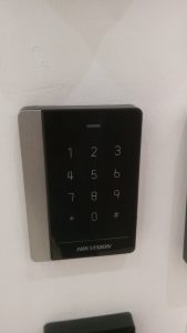 IMAG0446